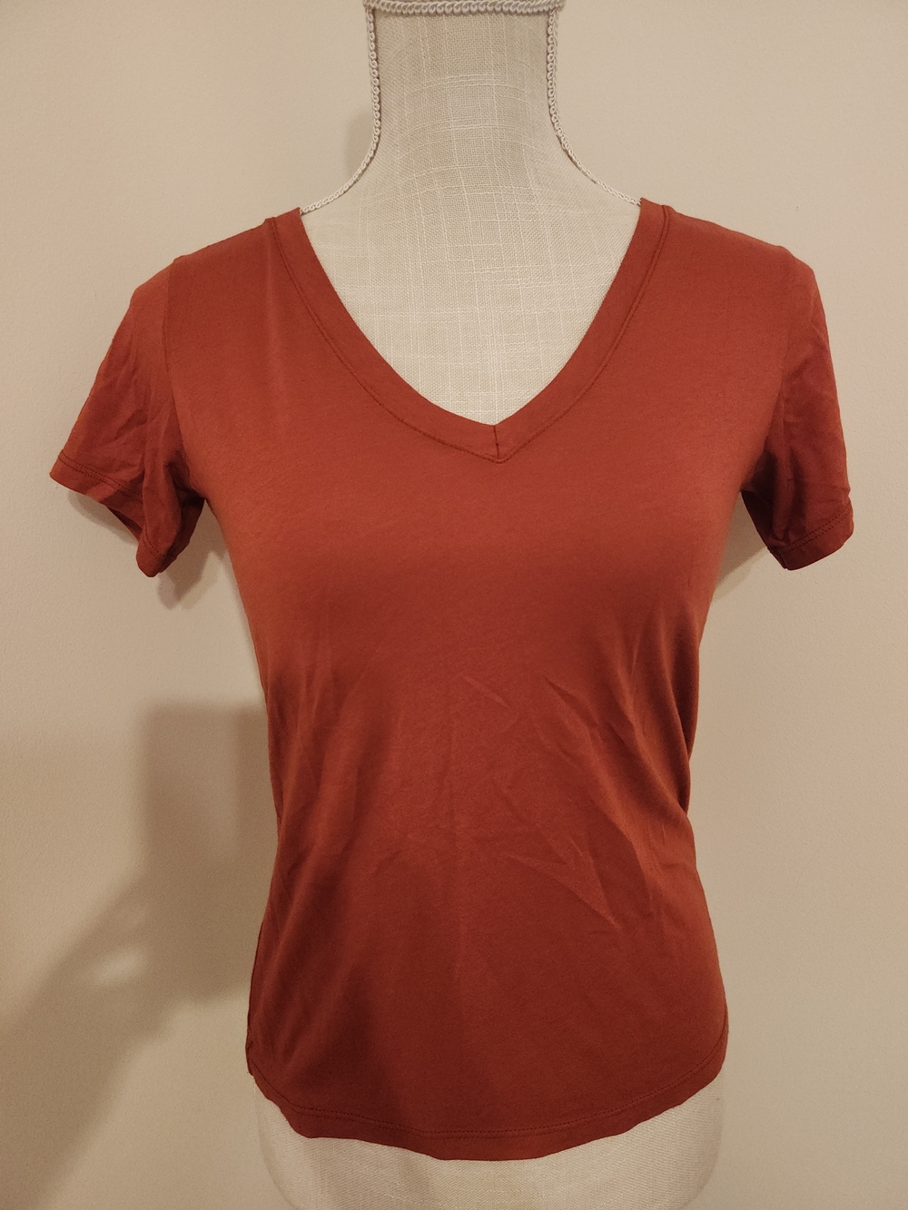 Joie Rust Short Sleeve V-Neck Tee